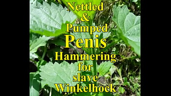 Slave Winkelhock's Pumped Penis nettle stinged and hammered